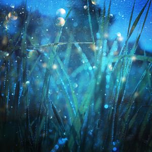 男男做爱无码网站
